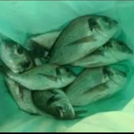 Fishing Eco Nativo Park